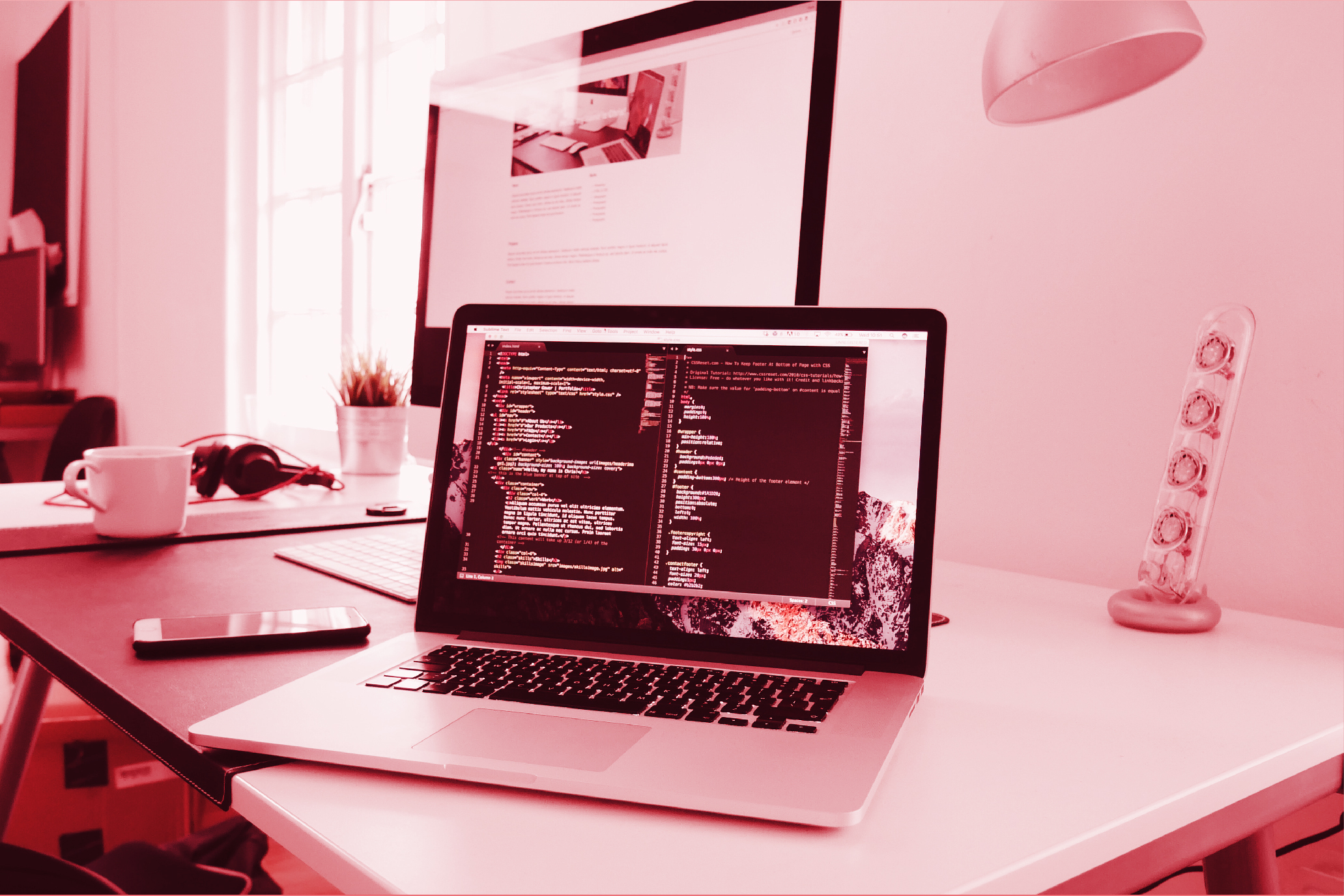 Services developer
