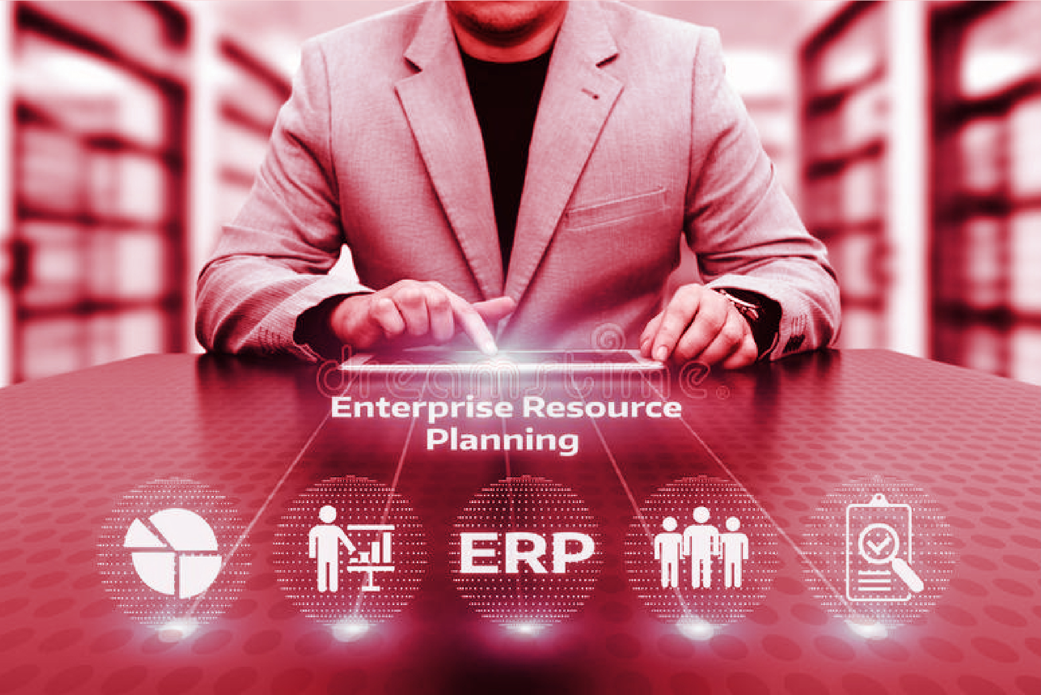 Erp Services